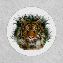 Tiger durch Gras schälen