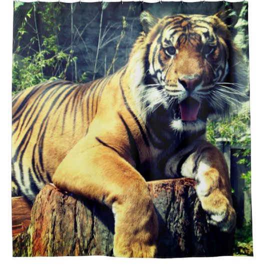 Tiger Duschvorhang (Vorderseite)