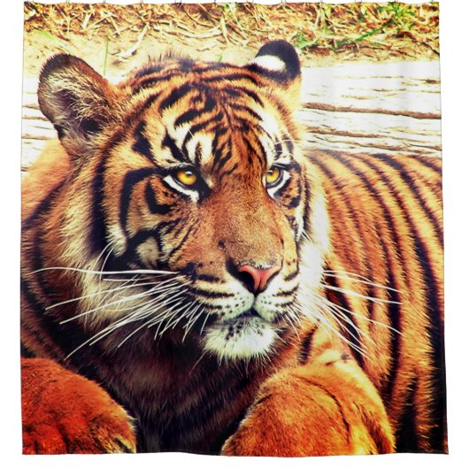 Tiger Duschvorhang (Vorderseite)