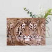 Tiger-Einladung Einladung (Stehend Vorderseite)