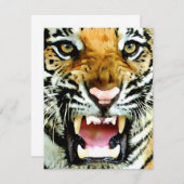 Tiger-Einladungen Einladung (Vorne/Hinten)