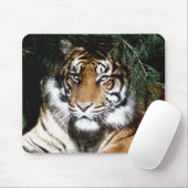 Tiger Enjoying Shade Mousepad (Mit Mouse)
