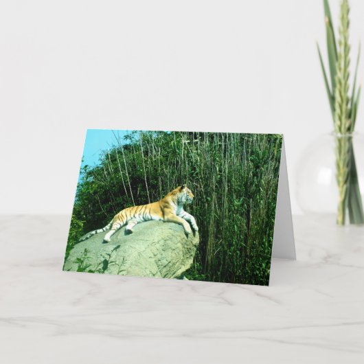 Tiger entspannend feiertagskarte (Vorderseite)