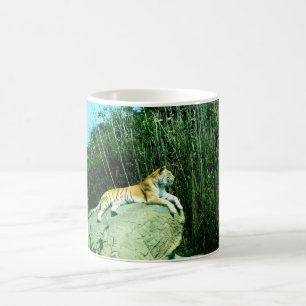 Tiger entspannend kaffeetasse