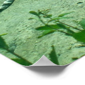 Tiger entspannend poster (Ecke)