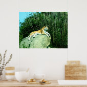 Tiger entspannend poster (Küche)