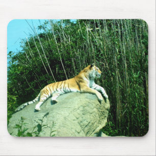 Tiger entspannendes Tier Mousepad