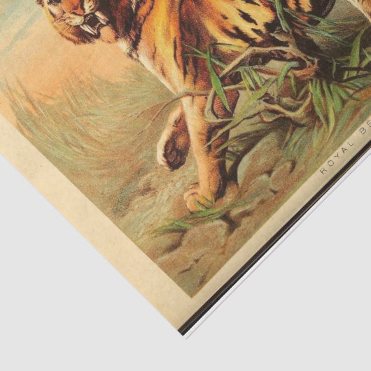 Tiger Ephemera Decoupage Seidenpapier (Ausschnitt)