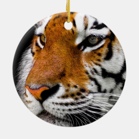 Tiger Eyes Keramik Ornament (Hinten)