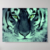 Tiger Eyes Poster (Vorne)