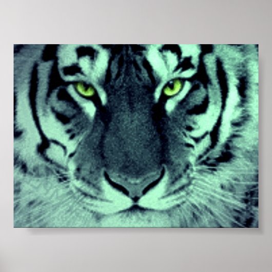 Tiger Eyes Poster (Vorne)