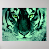 Tiger Eyes Poster (Vorne)