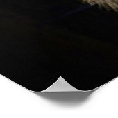 Tiger Eyes Poster - Wilde Life Poster (Ecke)