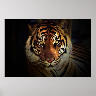 Tiger Eyes Poster - Wilde Life Poster