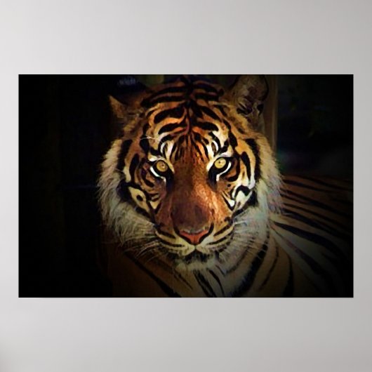 Tiger Eyes Poster - Wilde Life Poster (Vorne)