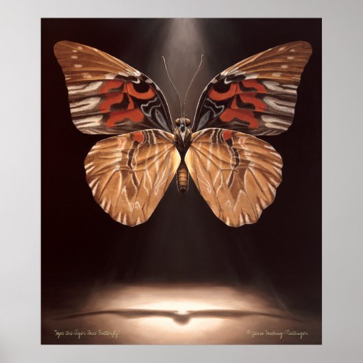 Tiger Face Butterfly Poster (Vorne)