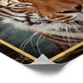 Tiger Face Foto Image Print Poster (Ecke)