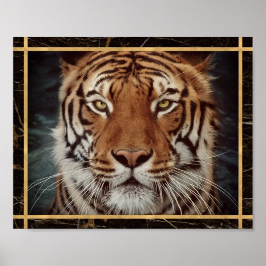 Tiger Face Foto Image Print Poster (Vorne)