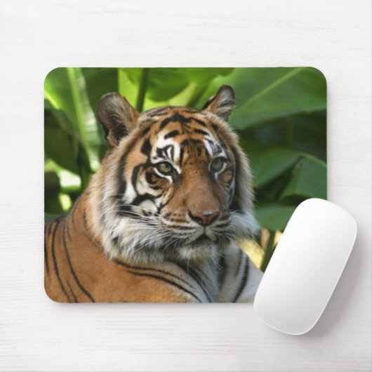 Tiger Face Mousepad (Mit Mouse)