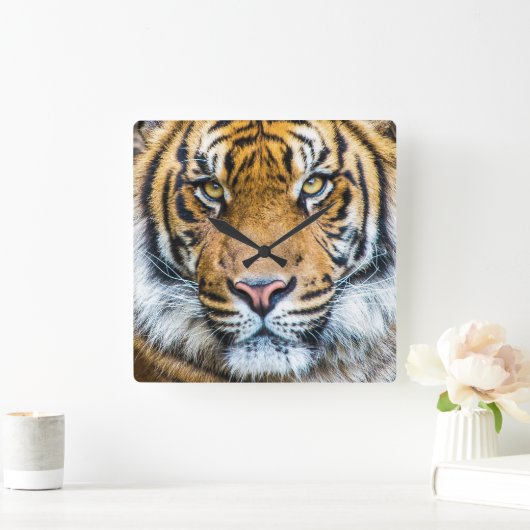 Tiger Face Portrait Quadratische Wanduhr (Zuhause)