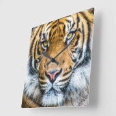 Tiger Face Portrait Quadratische Wanduhr (Winkel)