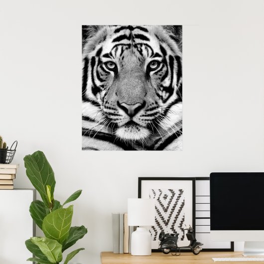 Tiger Face Poster (Heimbüro)