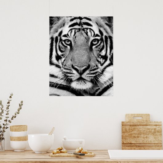 Tiger Face Poster (Küche)