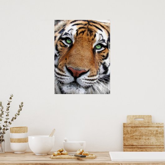 Tiger Face Poster (Küche)