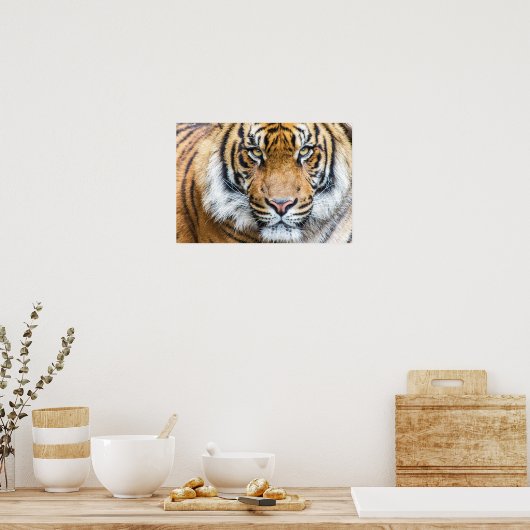 Tiger Face Poster (Küche)