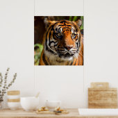 Tiger Face Poster (Küche)
