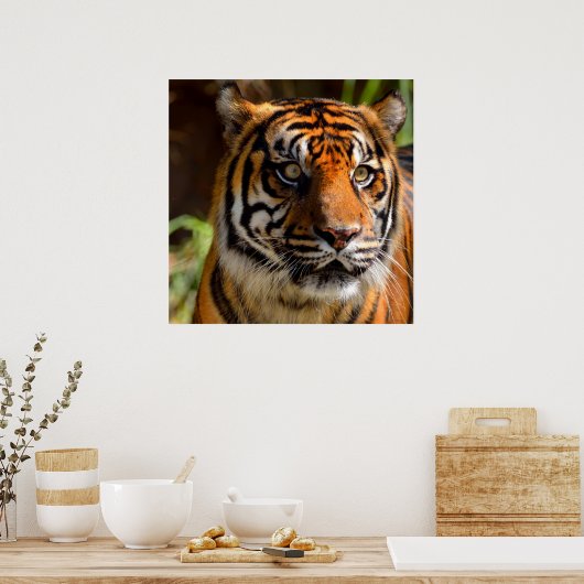 Tiger Face Poster (Küche)