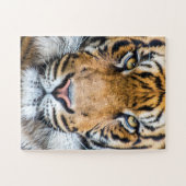 Tiger Face Puzzle (Horizontal)