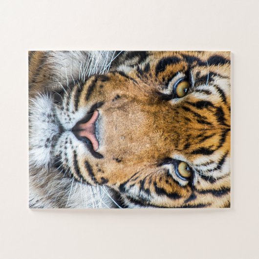 Tiger Face Puzzle (Horizontal)