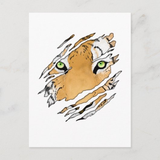 Tiger Face Wildlife Art Postkarte (Vorderseite)