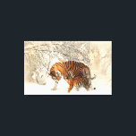Tiger Familie im Winter Landschaft Canvas Print Leinwanddruck<br><div class="desc">Tiger Familie in Winter Landschaft Canvas Print.</div>