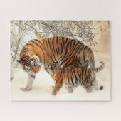 Tiger Familie im Winter Landschaft Jigsaw Puzzle (Horizontal)