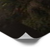 Tiger-Familie Poster (Ecke)