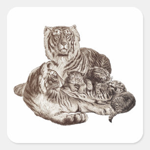 Tiger-Familie Quadratischer Aufkleber