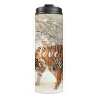 Tiger-Familie