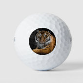 Tiger Fan Golfball (Vorderseite)