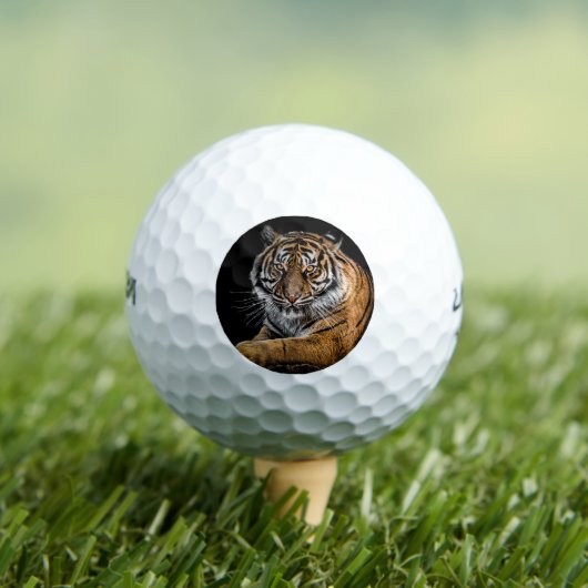 Tiger Fan Golfball (Insitu T-Shirt)