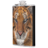 Tiger Flachmann (Links)