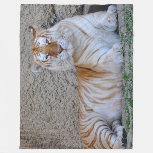 Tiger Fleece Blanket (Vorderseite)