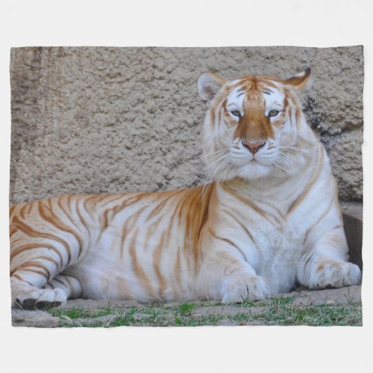 Tiger Fleece Blanket (Vorderseite (Horizontal))