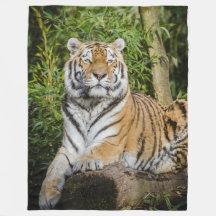 Tiger-Fleece-Decke