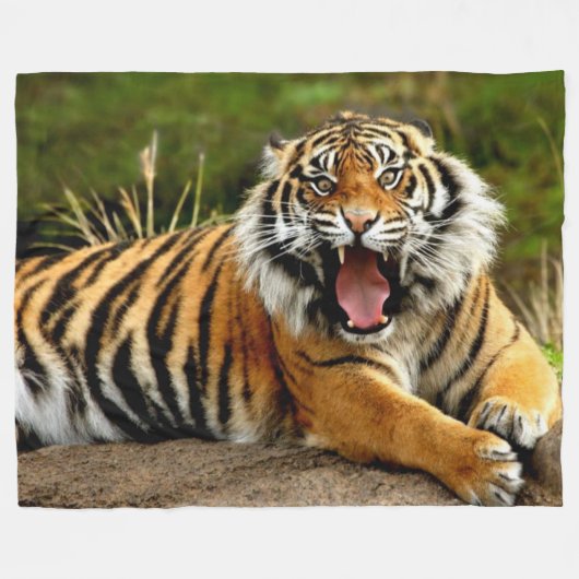 TIGER FLEECEDECKE (Vorderseite (Horizontal))