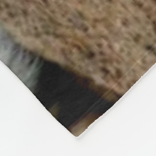 TIGER FLEECEDECKE (Ecke)