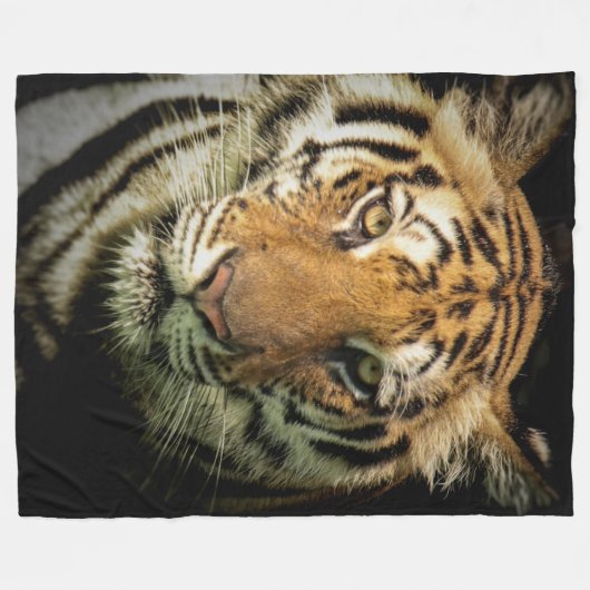 Tiger Fleecedecke (Vorderseite (Horizontal))