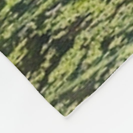 Tiger Fleecedecke (Ecke)