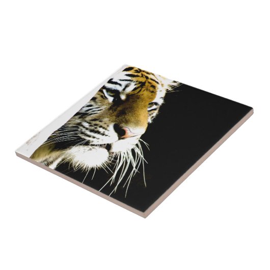 Tiger Fliese (Seite)